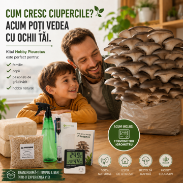 Kit complet cultivare ciuperci Pleurotus-Hobby